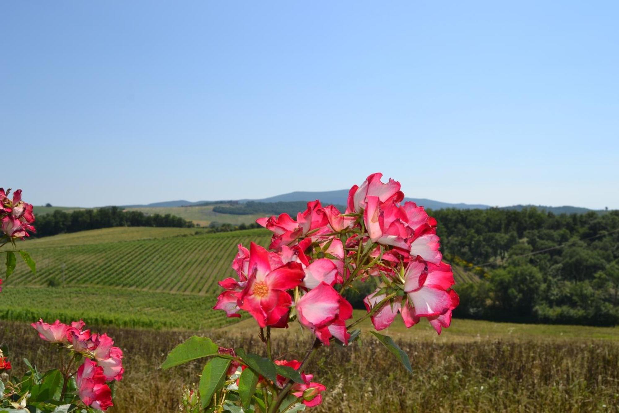 Agriturismo Cignanbianco Castellina in Chianti Exterior foto